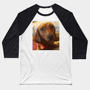 Treacle the dachshund all wrapped up. Baseball T-Shirt